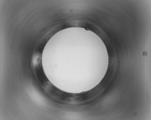 X0000112840095200909111432