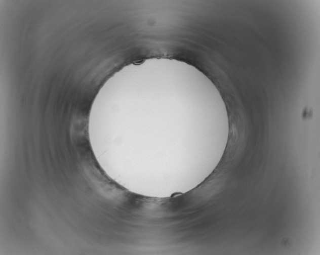 X0000112840096200909111432