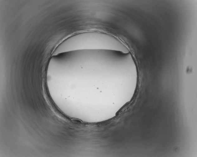 X0000112840097200909111431