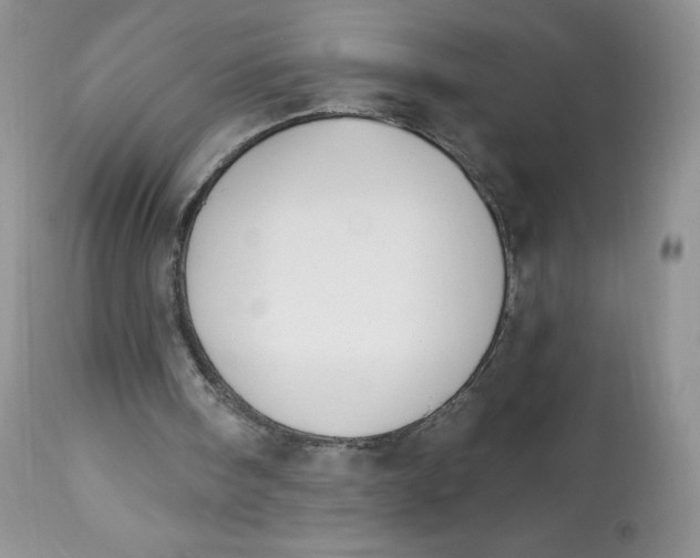 X0000112840098200909111431