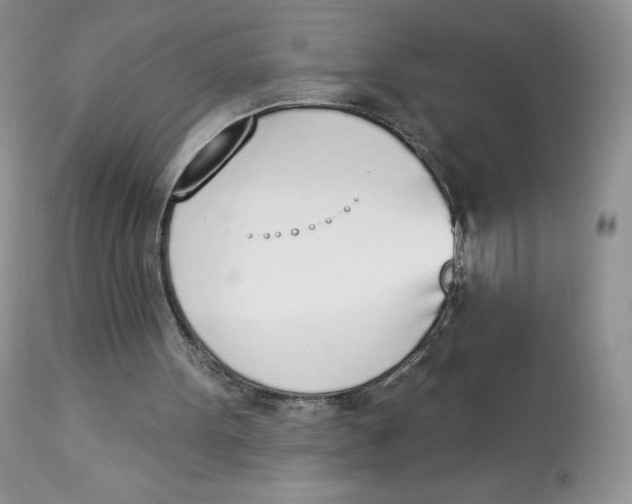 X0000112840099200909111431