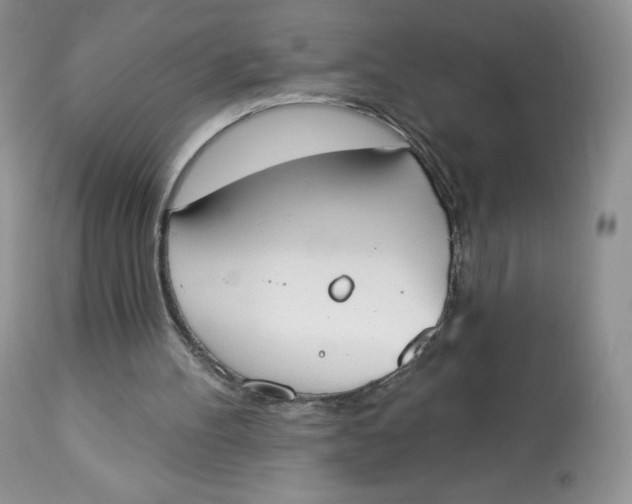 X0000112840100200909111431