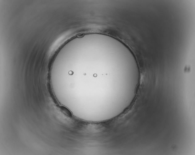 X0000112840101200909111431