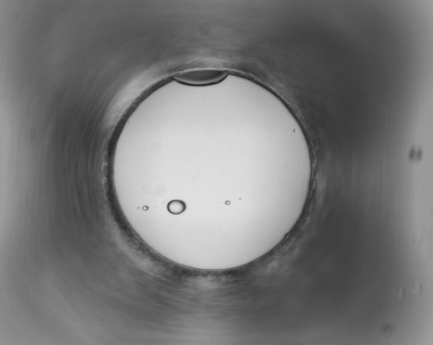 X0000112840103200909111431