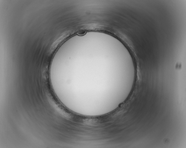 X0000112840105200909111431