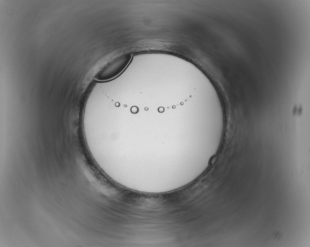 X0000112840107200909111431