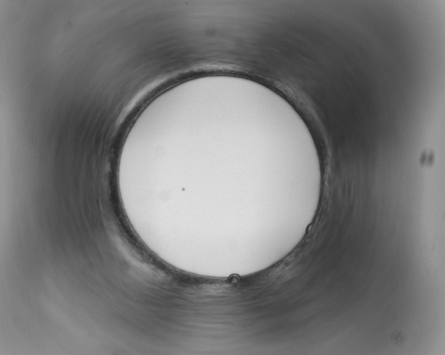 X0000112840108200909111431