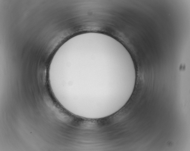 X0000112840110200909111431