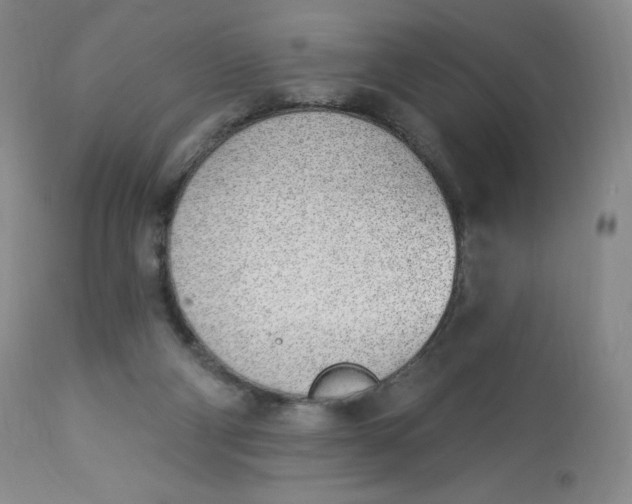 X0000112840114200909111431