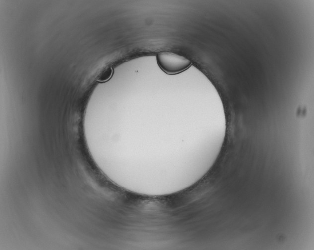 X0000112840115200909111431