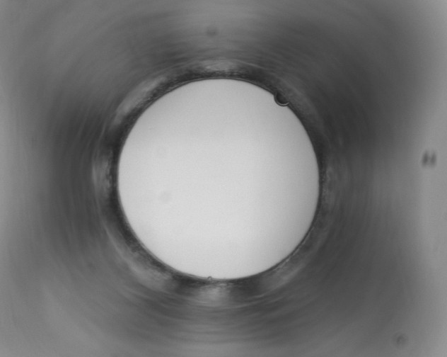 X0000112840116200909111431