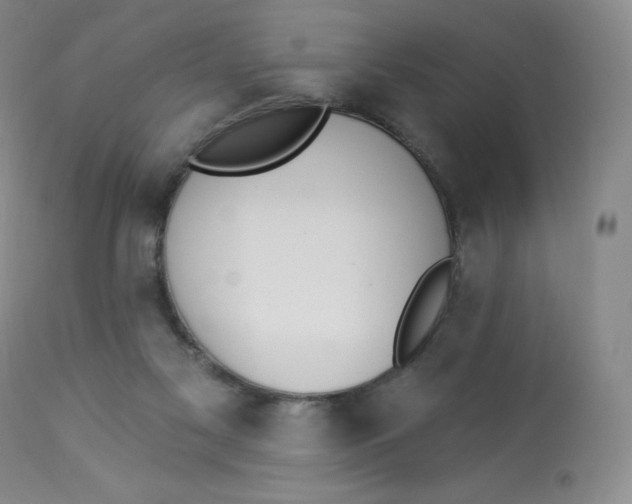 X0000112840117200909111431