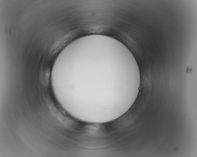 X0000112840118200909111431