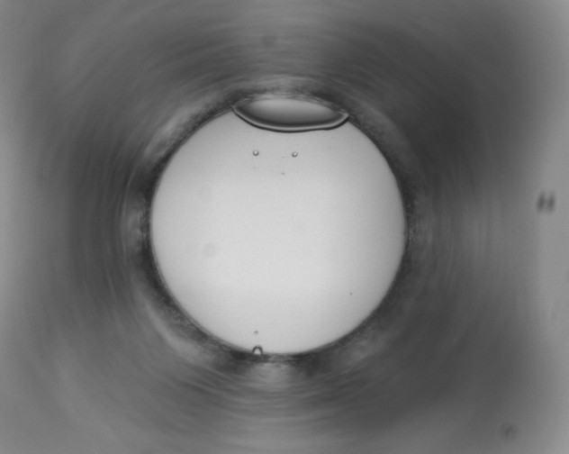 X0000112840119200909111431