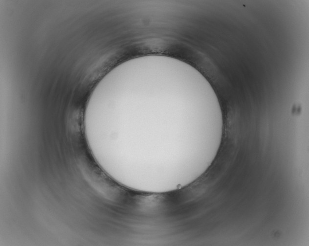 X0000112840122200909111431