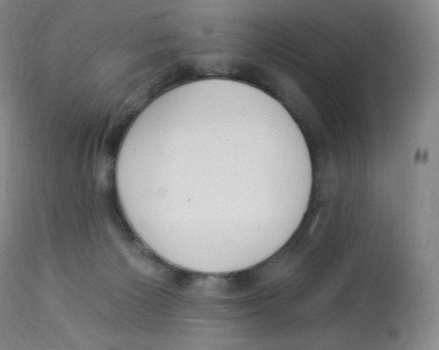 X0000112840125200909111431