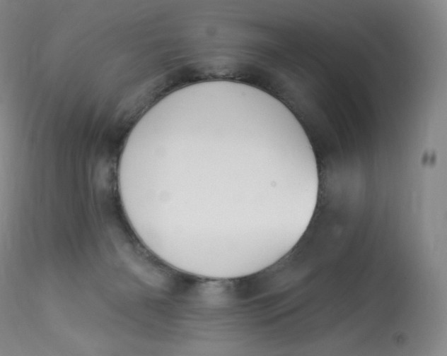 X0000112840126200909111431