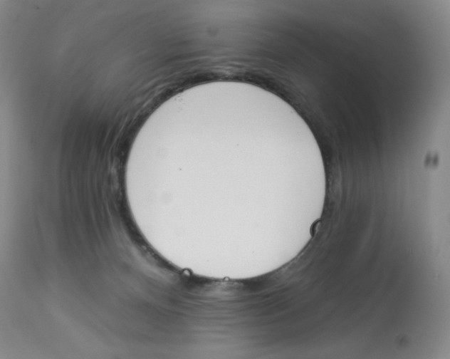 X0000112840128200909111431