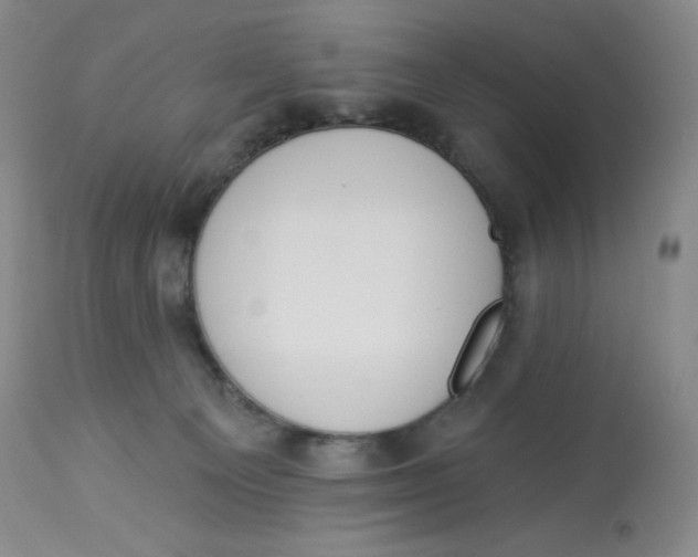 X0000112840129200909111431