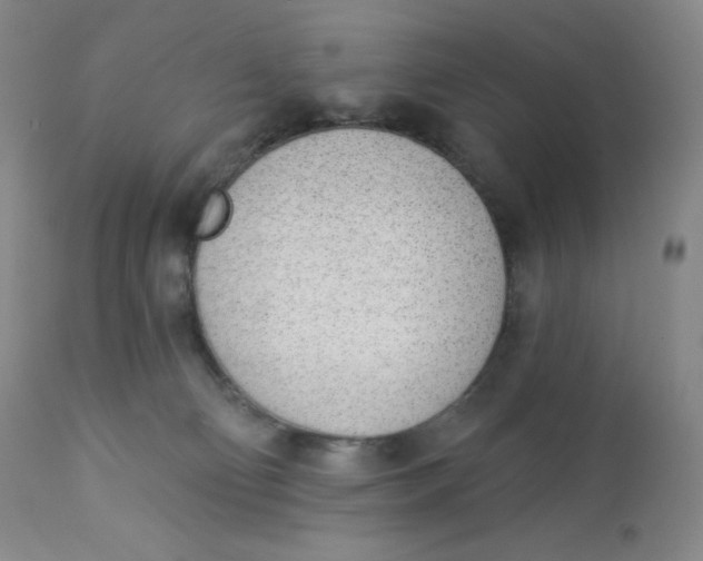 X0000112840130200909111431