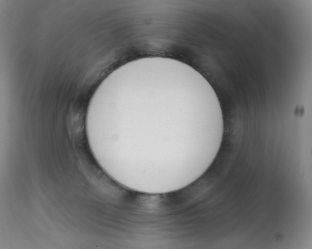 X0000112840131200909111431