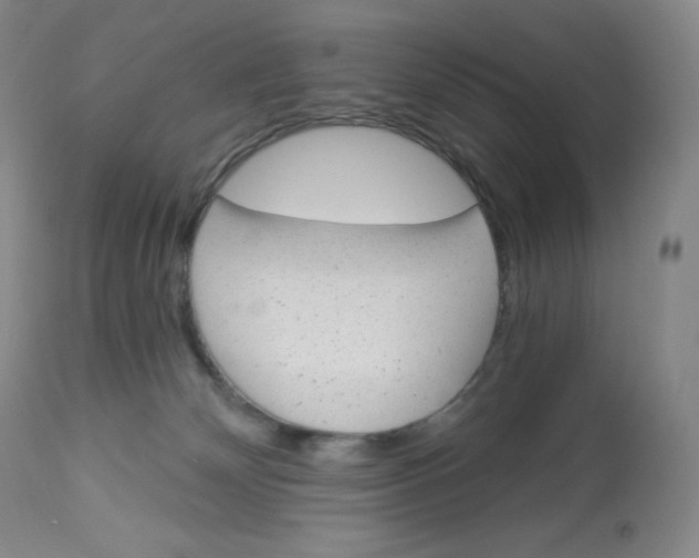 X0000112840132200909111431