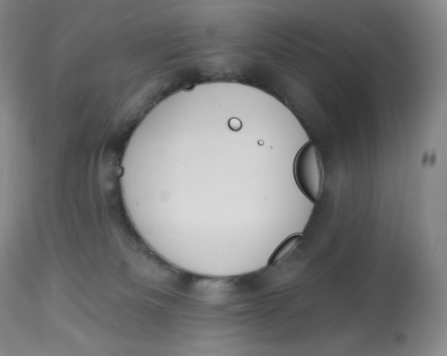 X0000112840133200909111431