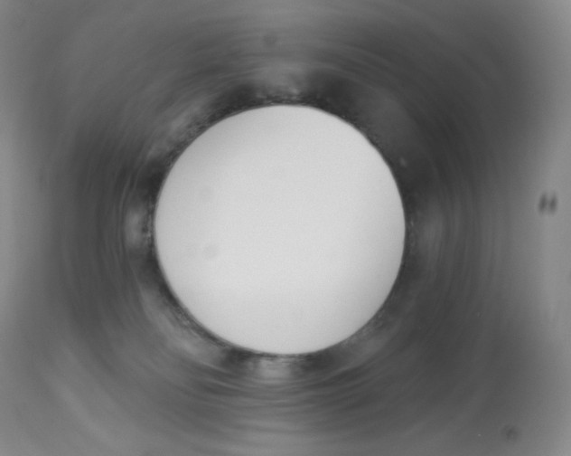 X0000112840134200909111431