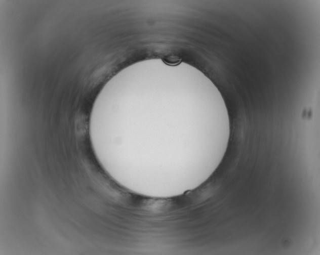 X0000112840135200909111431