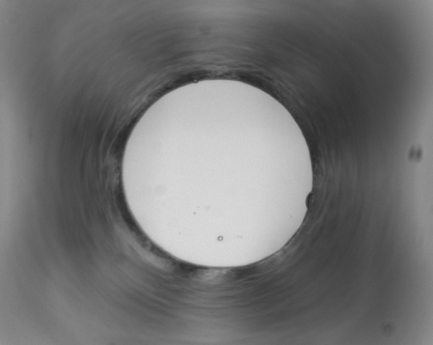 X0000112840136200909111431