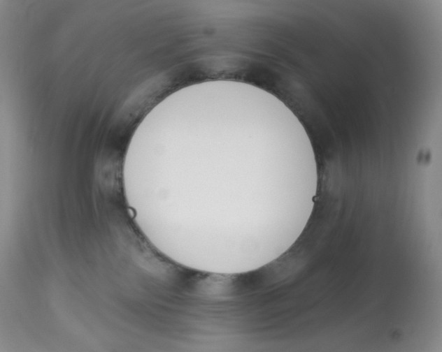 X0000112840138200909111431