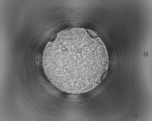 X0000112840139200909111431