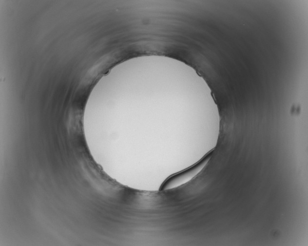 X0000112840141200909111431