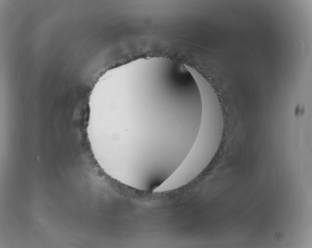 X0000112840144200909111431