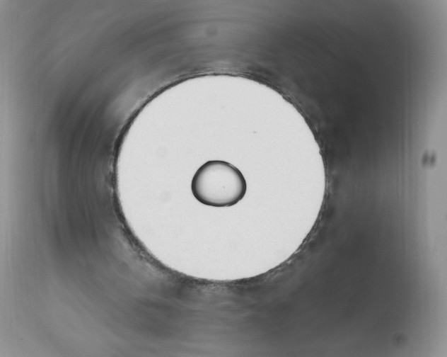 X0000112840146200909111430