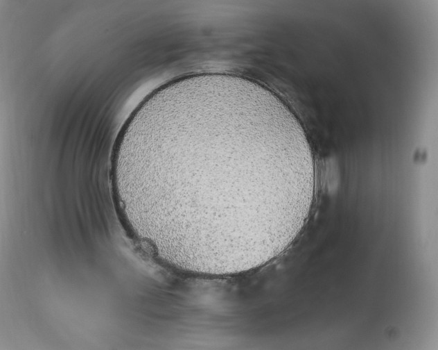 X0000112840147200909111430