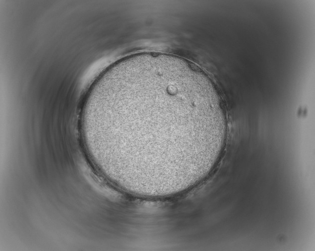 X0000112840149200909111430