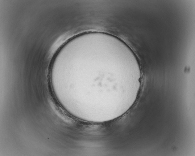 X0000112840151200909111430