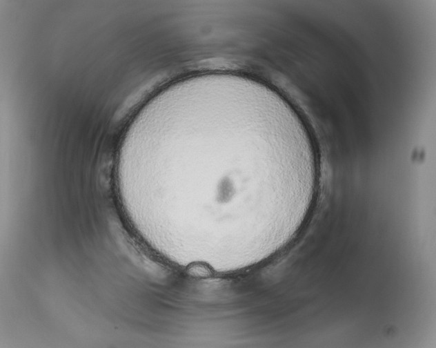 X0000112840153200909111430