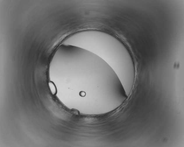 X0000112840154200909111430