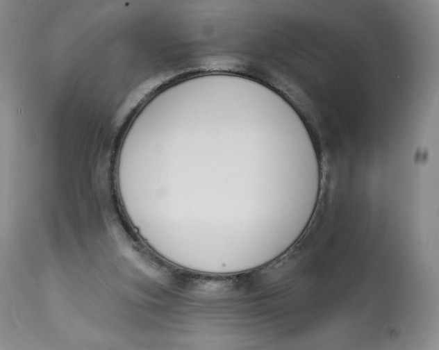 X0000112840155200909111430