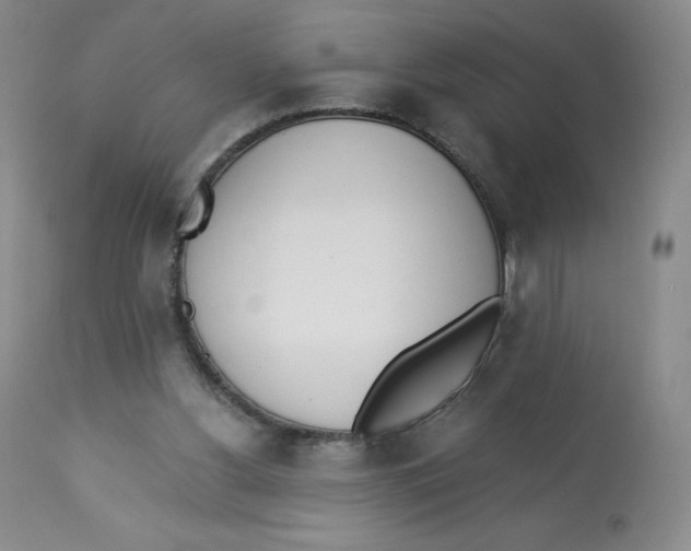 X0000112840156200909111430