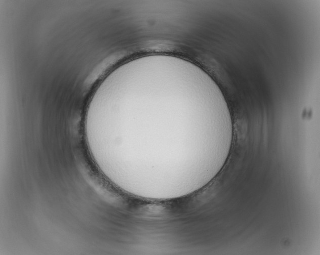 X0000112840159200909111430