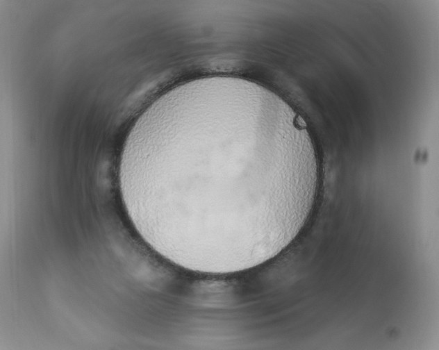 X0000112840161200909111430