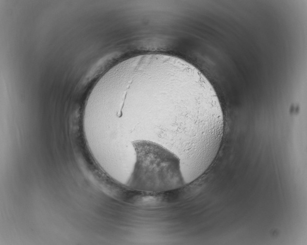 X0000112840163200909111430