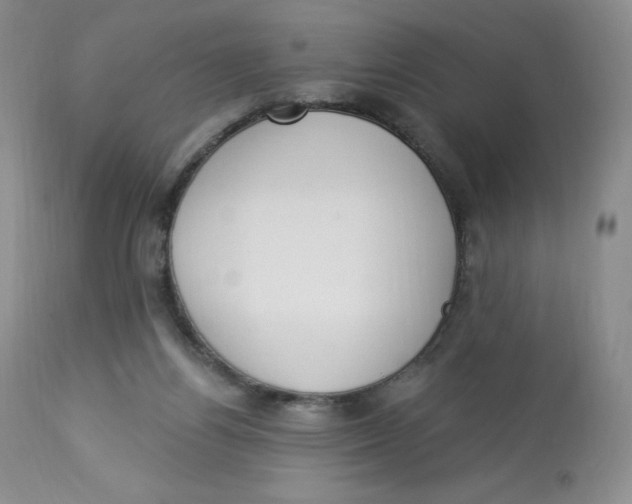 X0000112840164200909111430