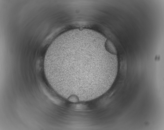 X0000112840165200909111430