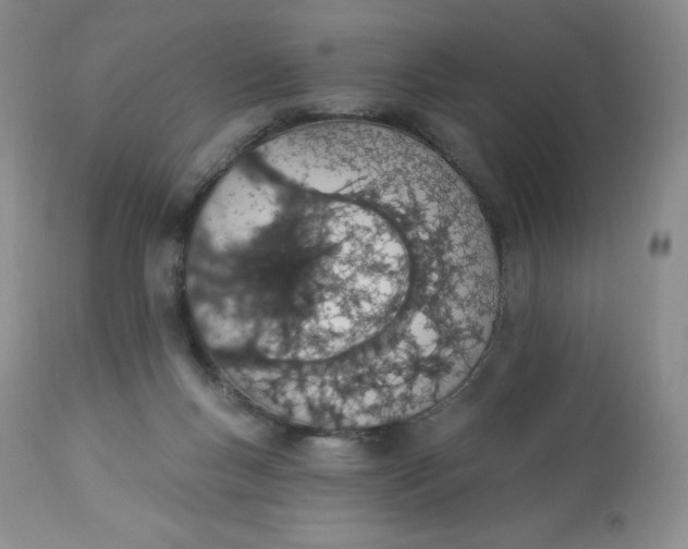 X0000112840167200909111430