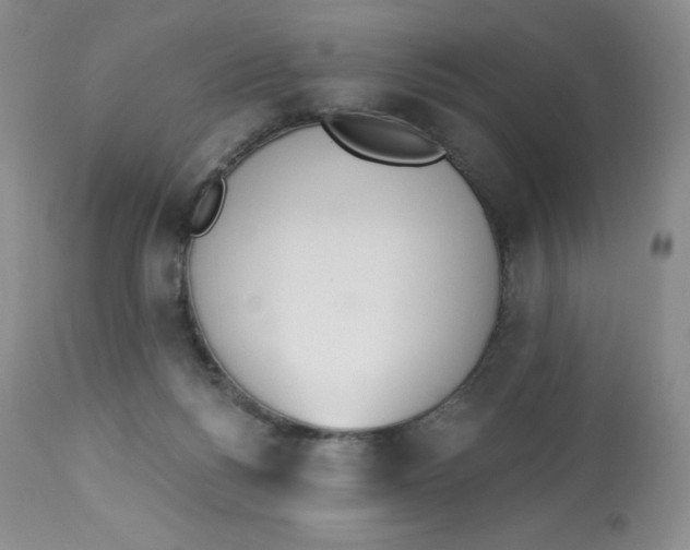 X0000112840168200909111430