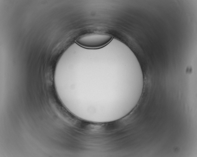 X0000112840170200909111430